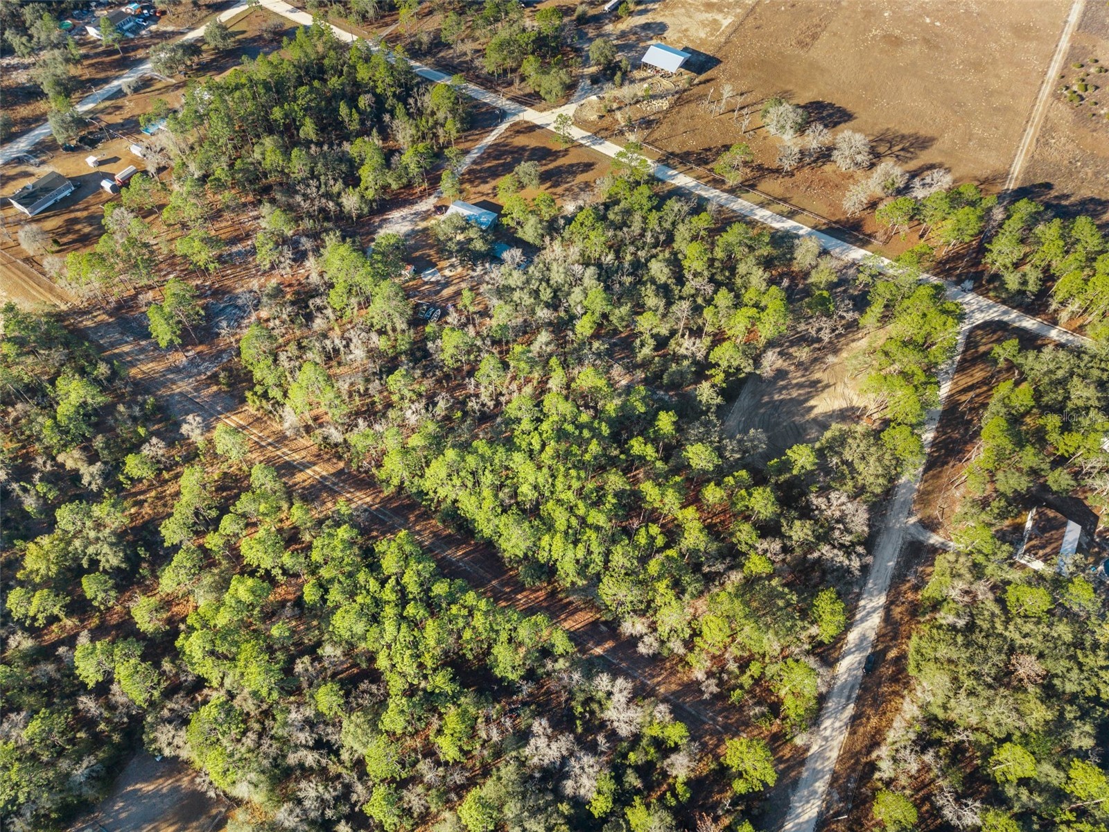 0 NE 121st Avenue Williston FL 32696 GC537233 image9