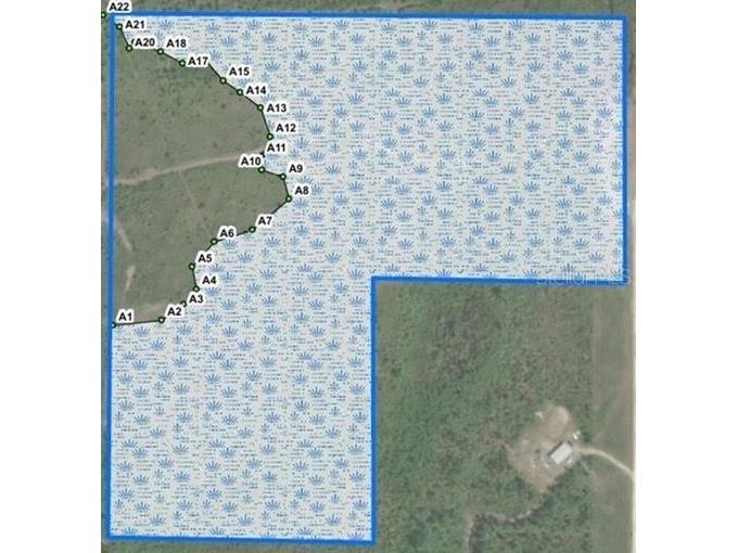 0 NE 125th Avenue Fort Mc Coy FL 32134 L4960303 image12