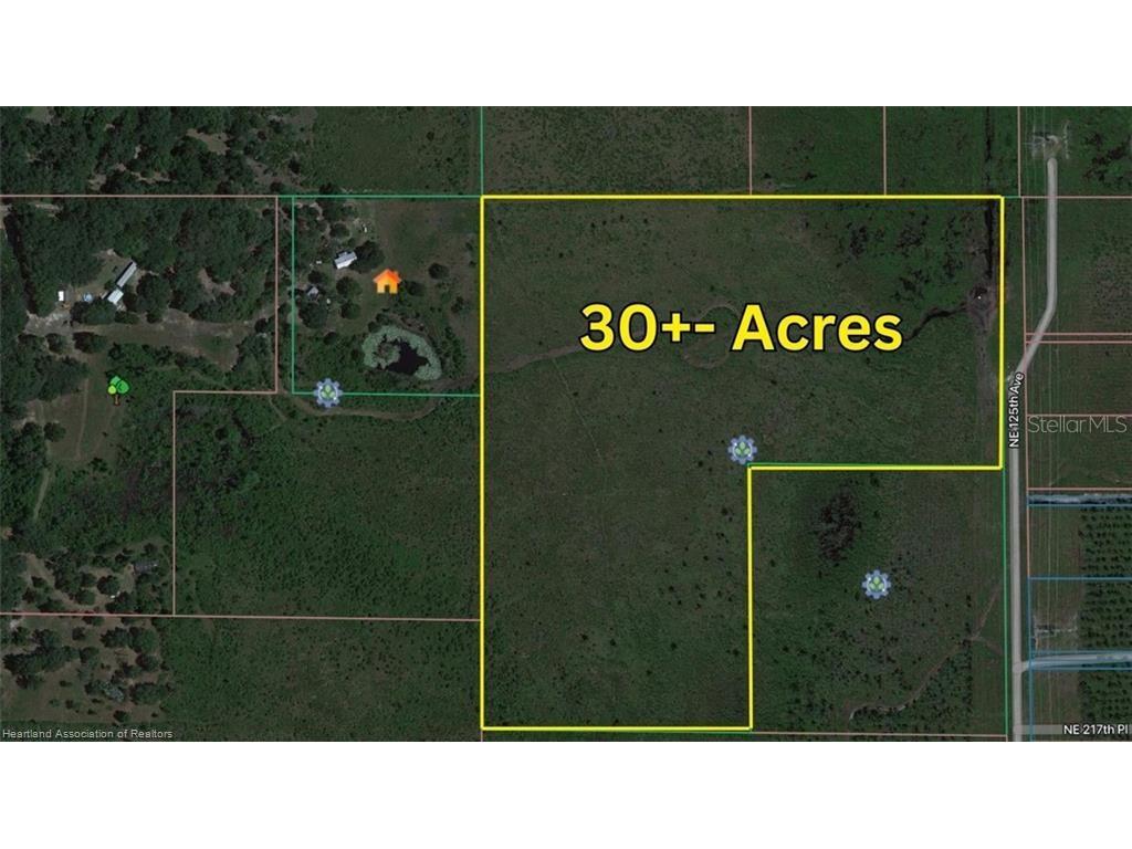 0 NE 125th Avenue Fort Mc Coy FL 32134 L4960303 image5