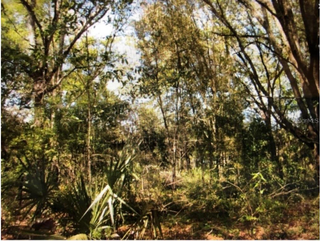 0 NE 128th Avenue Williston FL 32696 OM719337 image3