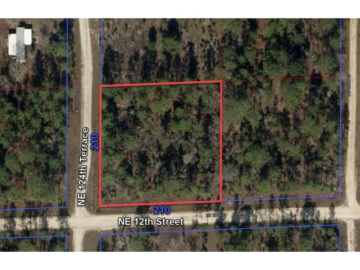 0 NE 12th Street Williston FL 32696 O6152111 image1