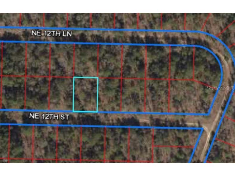 0 NE 12th Street Williston FL 32696 OM629999 image1
