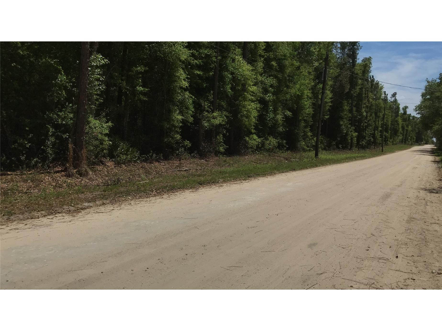0 NE 133rd Avenue Williston FL 32696 A4690270 image1