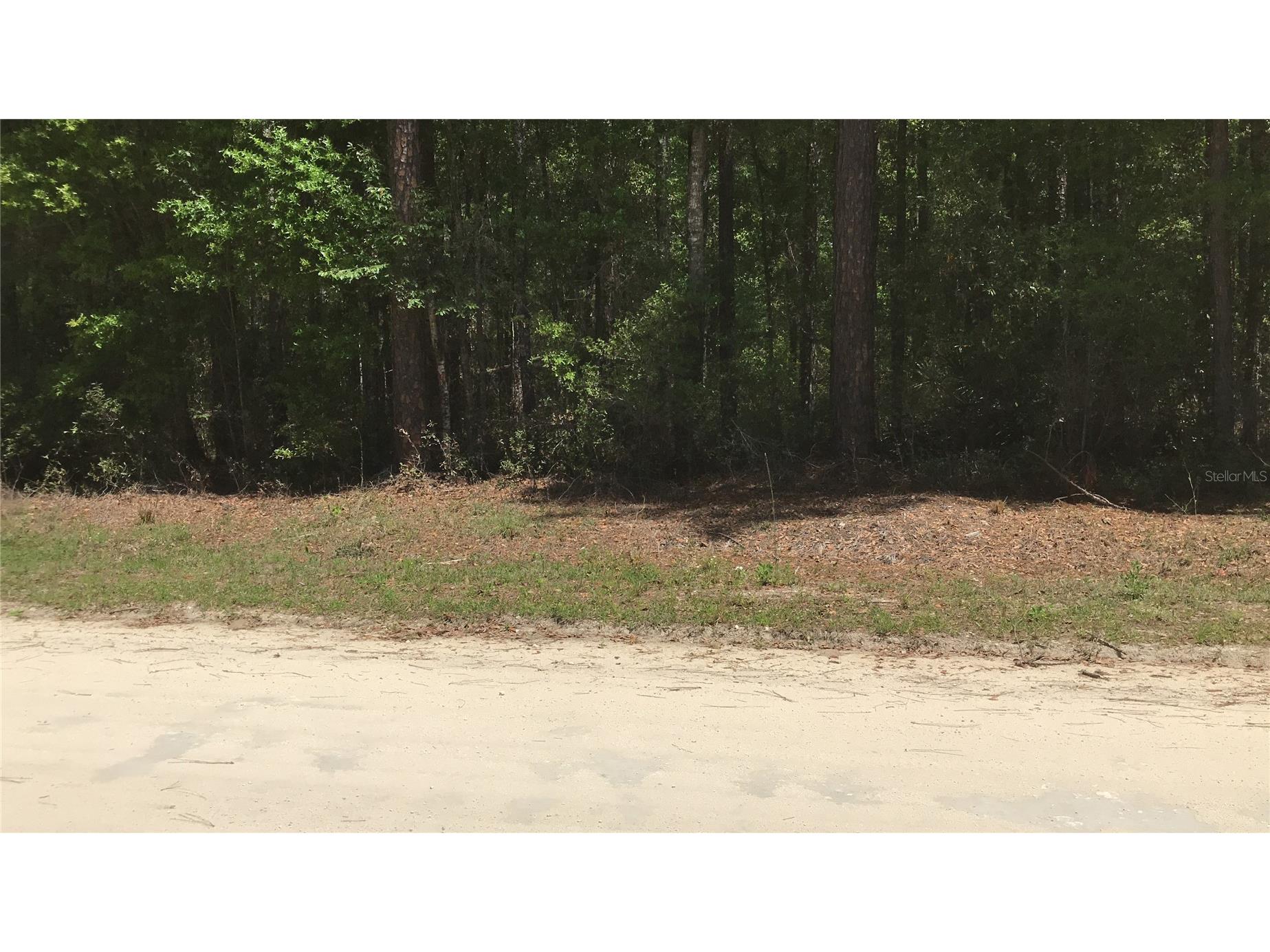 0 NE 133rd Avenue Williston FL 32696 A4690270 image2
