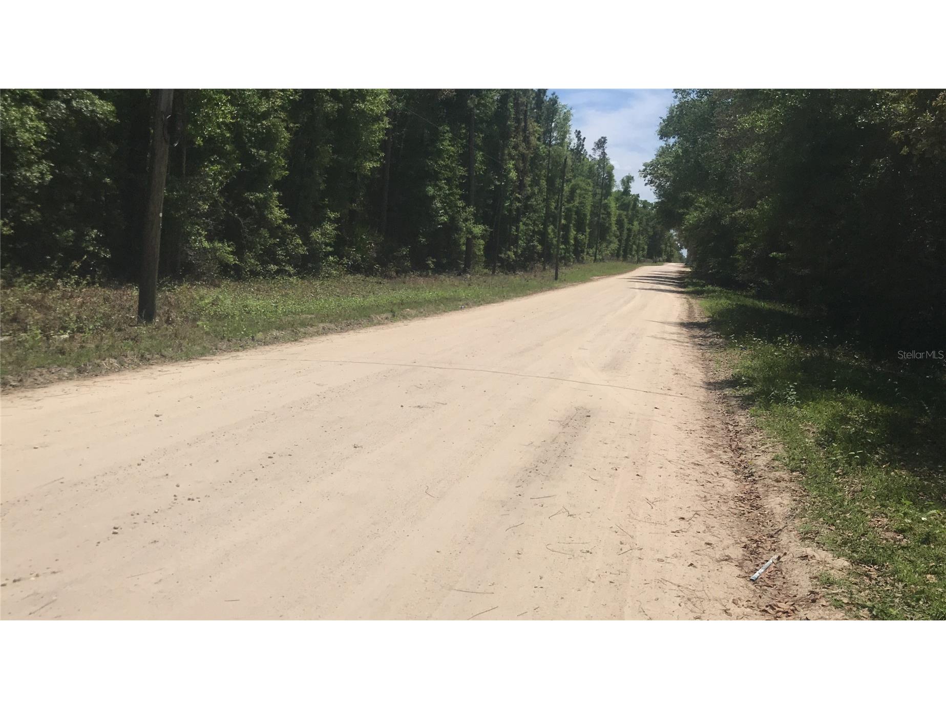 0 NE 133rd Avenue Williston FL 32696 A4690270 image3