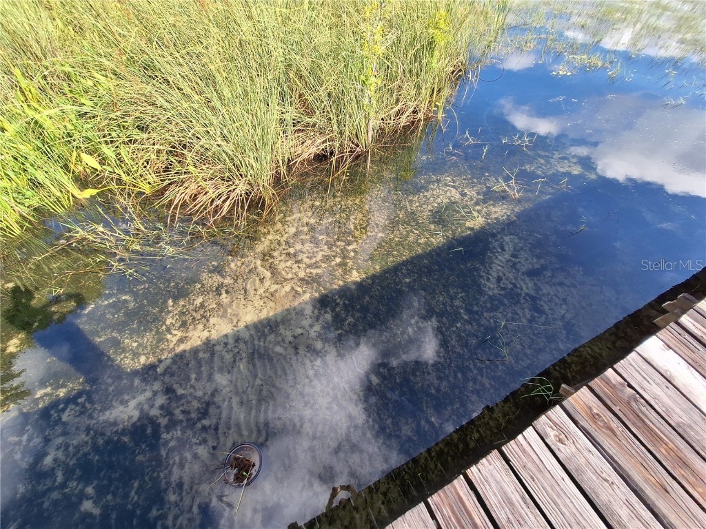 0 NE 135th Street Fort Mc Coy FL 32134 - LAKE KERR OM683016 image10