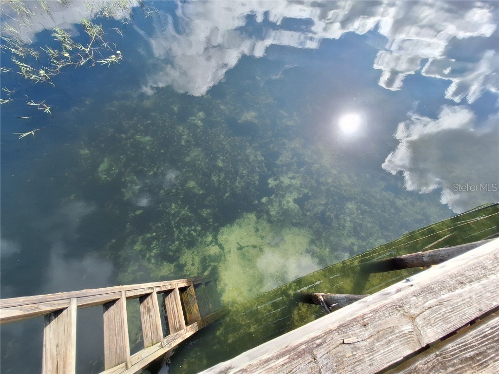 0 NE 135th Street Fort Mc Coy FL 32134 - LAKE KERR OM683016 image12