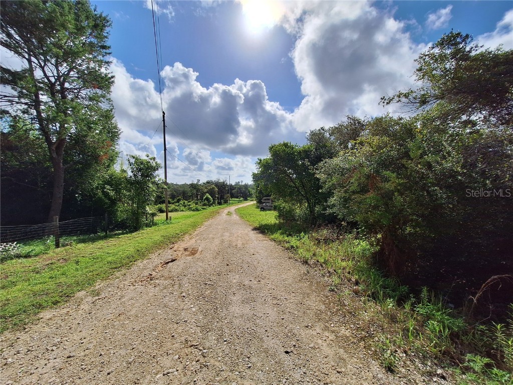 0 NE 135th Street Fort Mc Coy FL 32134 - LAKE KERR OM683016 image17