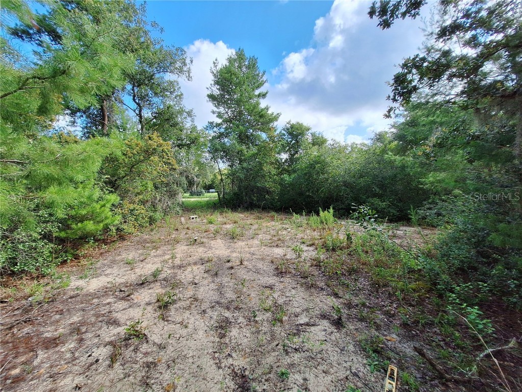 0 NE 135th Street Fort Mc Coy FL 32134 - LAKE KERR OM683016 image20