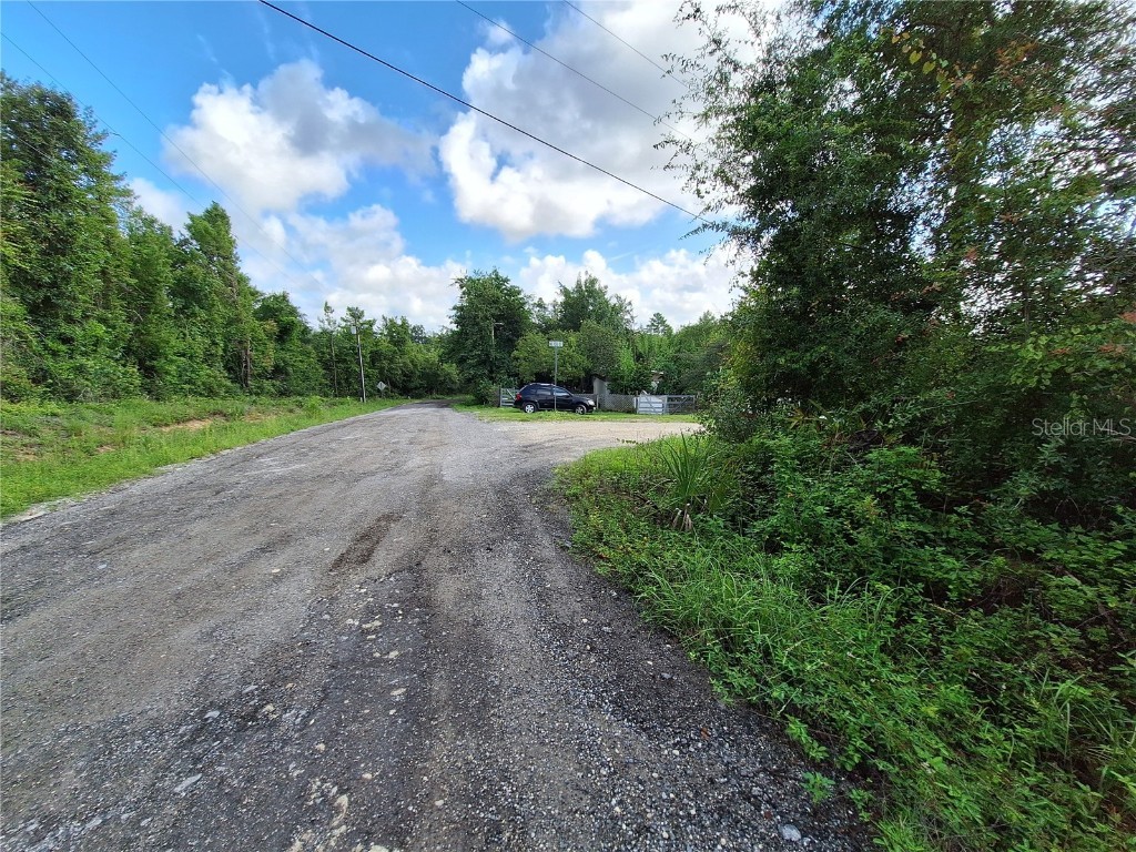 0 NE 135th Street Fort Mc Coy FL 32134 - LAKE KERR OM683016 image21