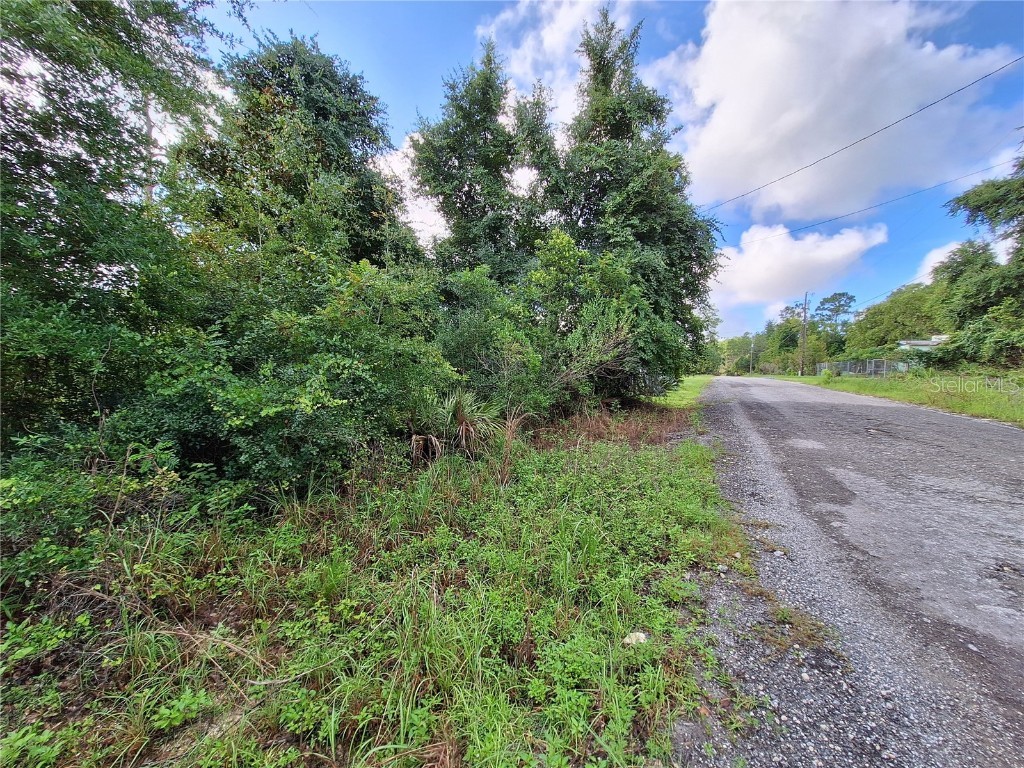 0 NE 135th Street Fort Mc Coy FL 32134 - LAKE KERR OM683016 image22