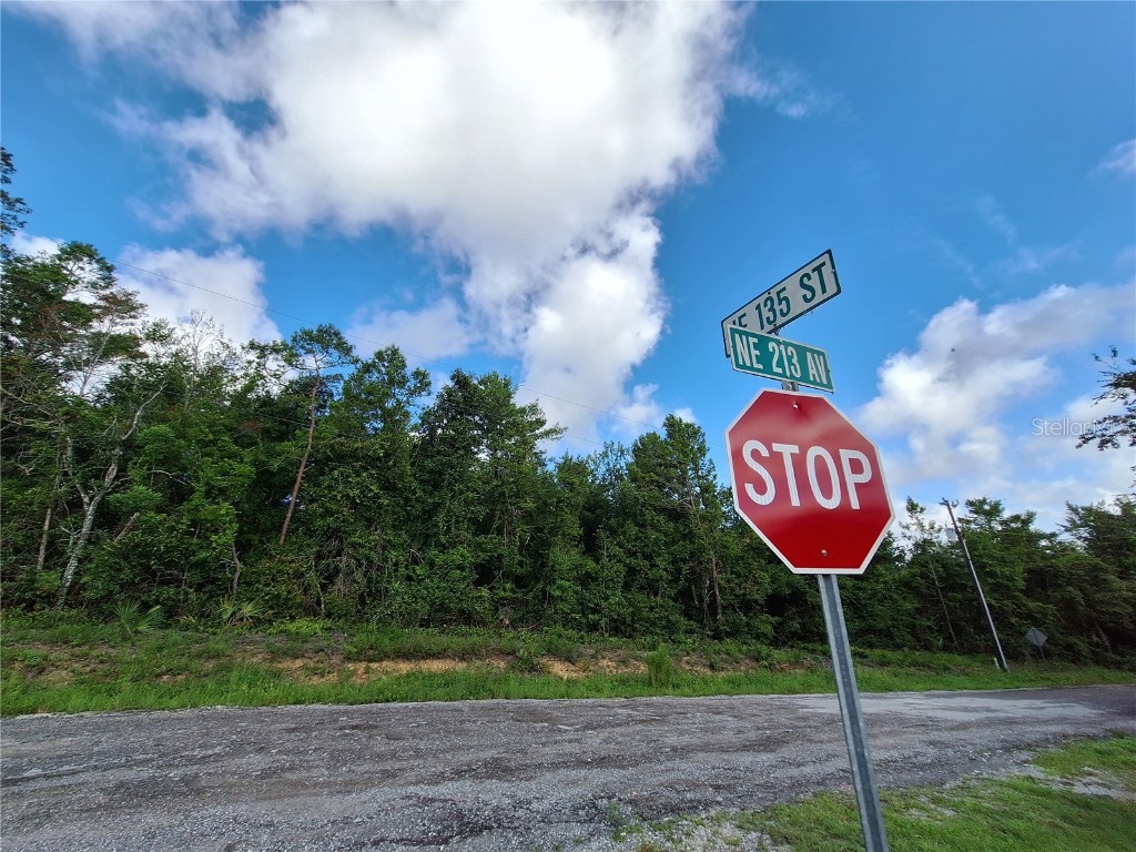 0 NE 135th Street Fort Mc Coy FL 32134 - LAKE KERR OM683016 image23