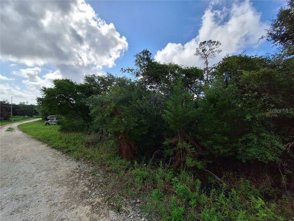 0 NE 135th Street Fort Mc Coy FL 32134 - LAKE KERR OM683016 image24