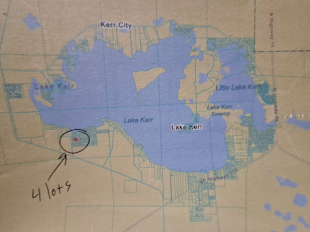 0 NE 135th Street Fort Mc Coy FL 32134 - LAKE KERR OM683016 image27