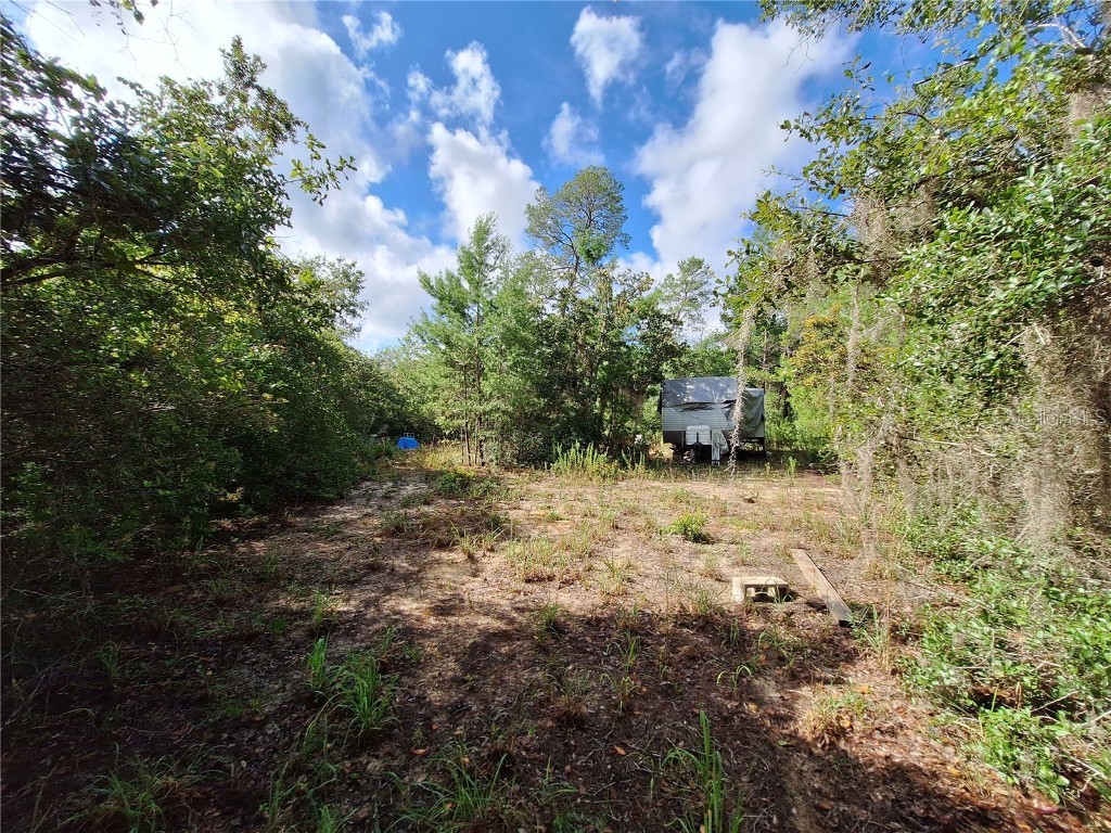 0 NE 135th Street Fort Mc Coy FL 32134 - LAKE KERR OM683016 image3