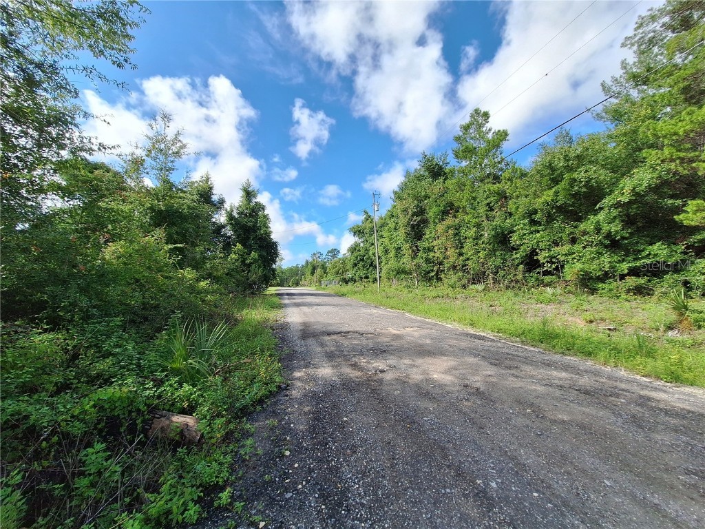 0 NE 135th Street Fort Mc Coy FL 32134 - LAKE KERR OM683016 image4