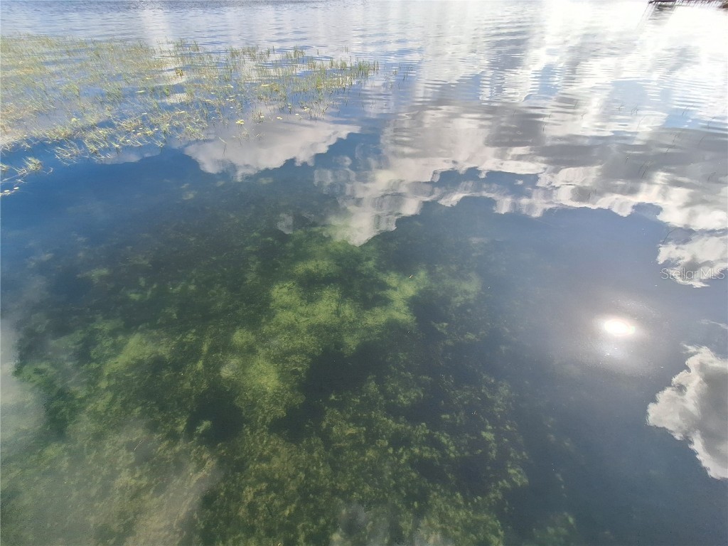 0 NE 135th Street Fort Mc Coy FL 32134 - LAKE KERR OM683016 image5