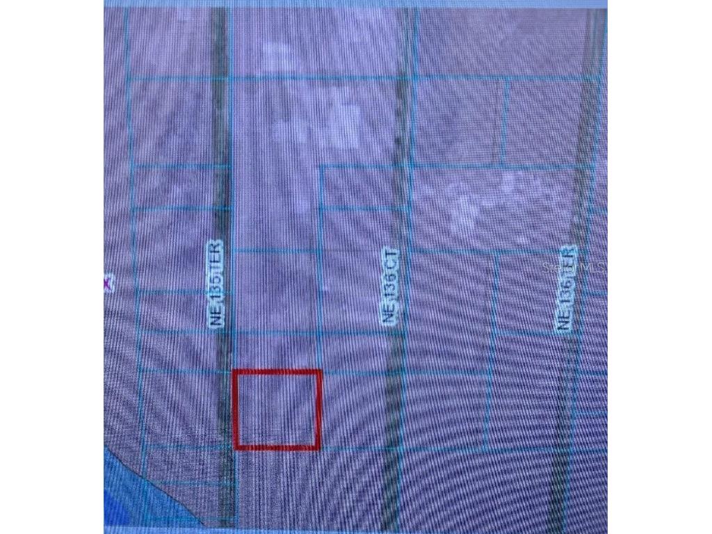 0 NE 135th Terrace Fort Mc Coy FL 32134 OM702870 image2