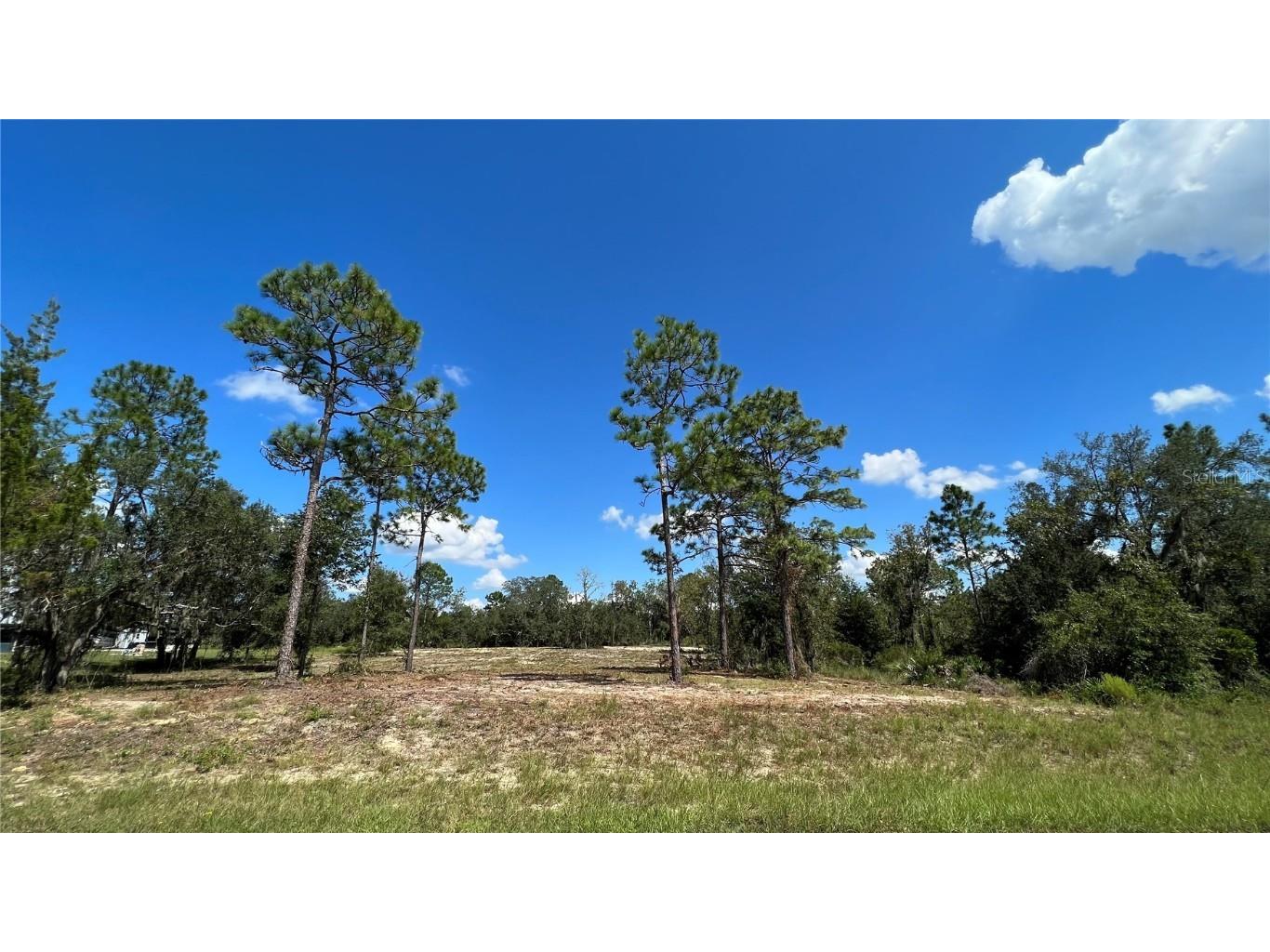 0 NE 136th Avenue Williston FL 32696 GC516125 image1