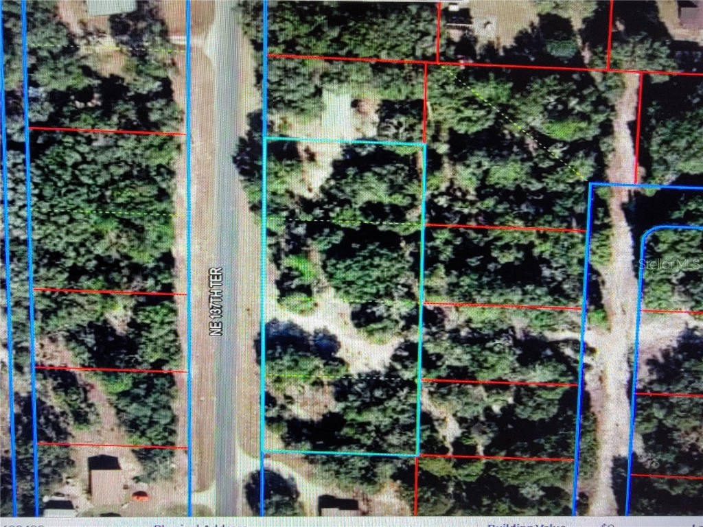 0 NE 137th Terrace Williston FL 32696 OM701457 image1