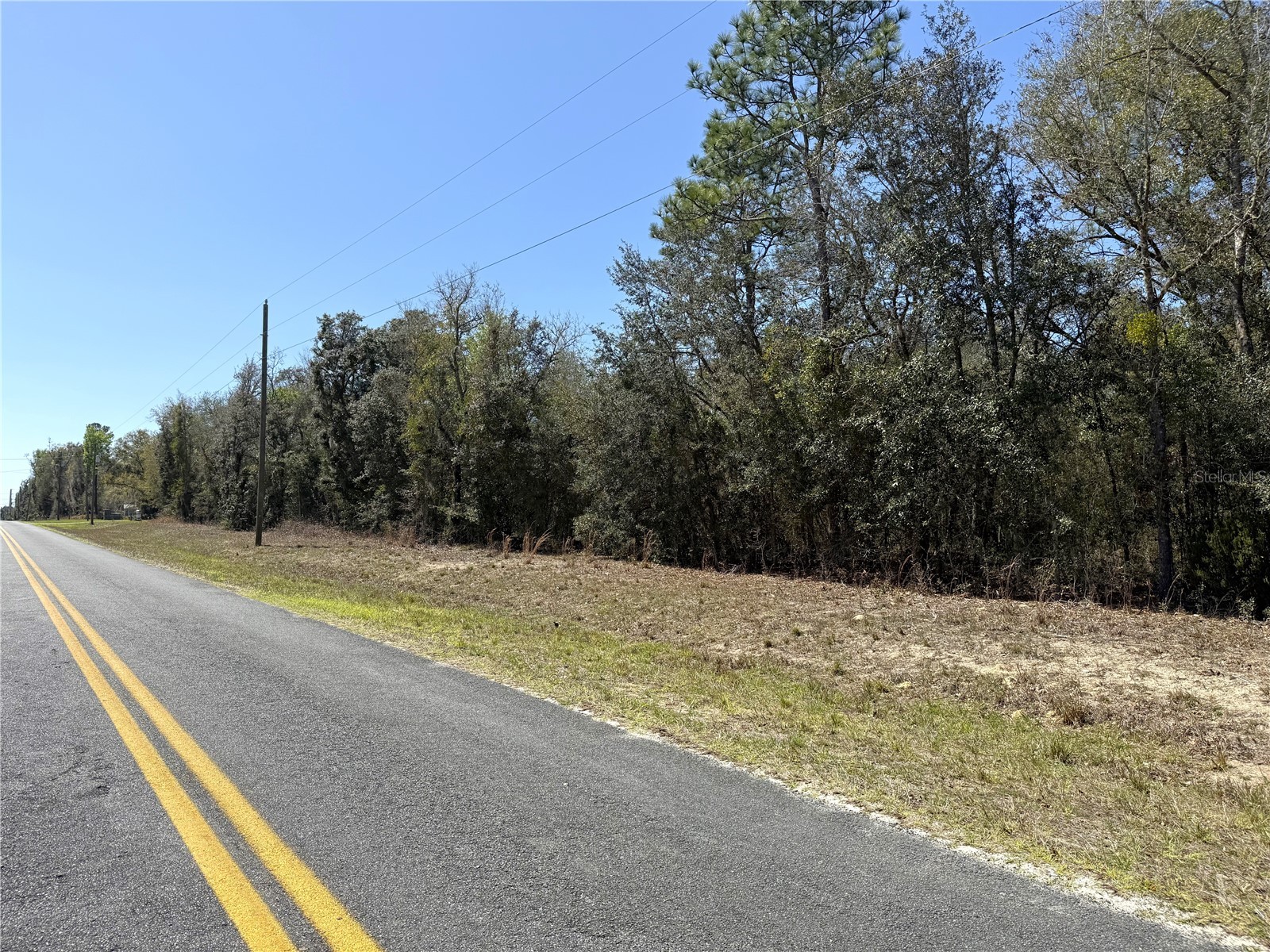 0 NE 137th Terrace Williston FL 32696 OM715041 image1
