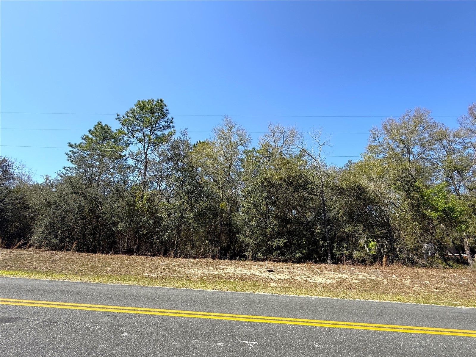 0 NE 137th Terrace Williston FL 32696 OM715041 image2