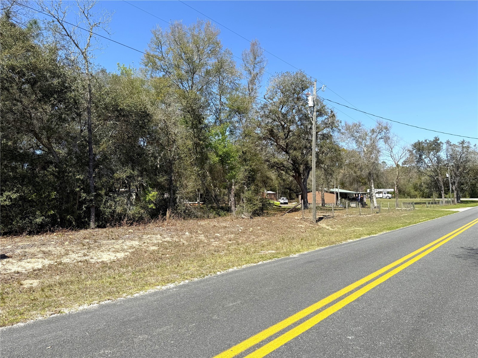0 NE 137th Terrace Williston FL 32696 OM715041 image3