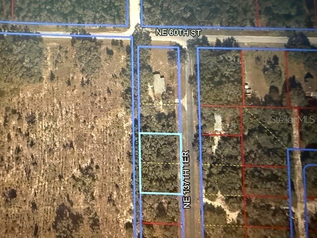 0 NE 137th Terrace Williston FL 32696 OM715041 image4