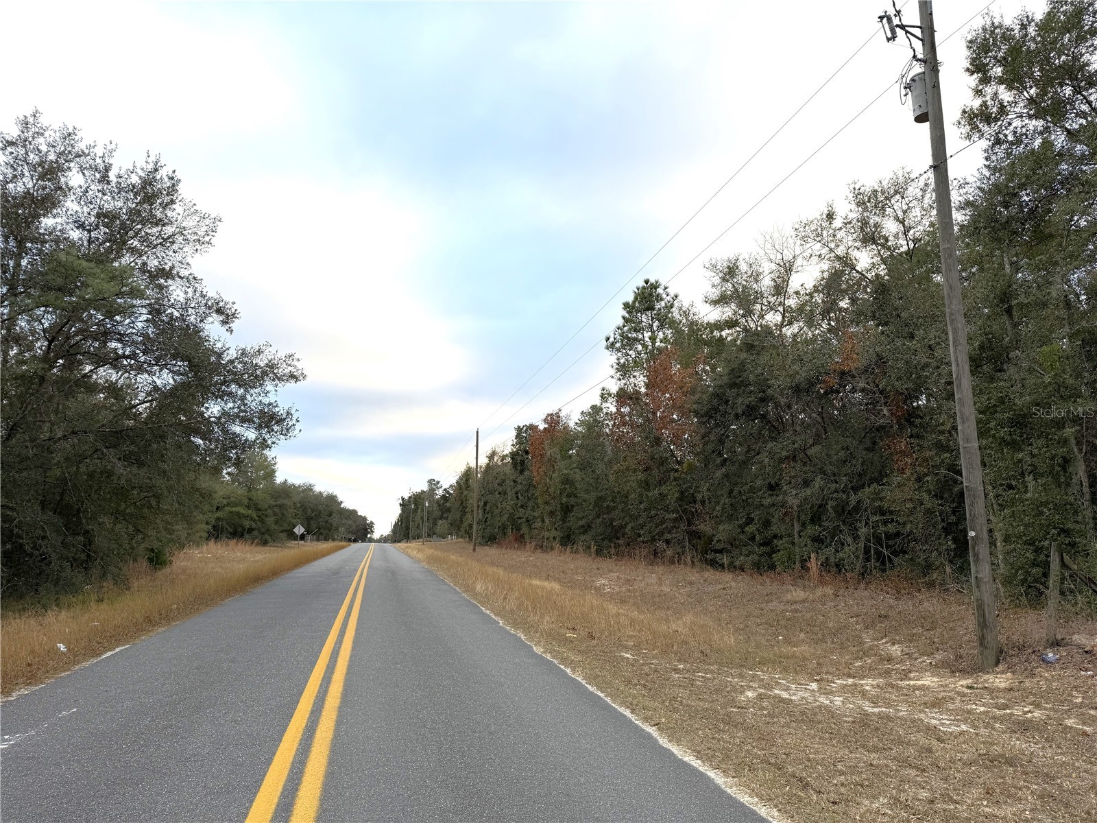 0 NE 137th Terrace Williston FL 32696 OM715041 image6