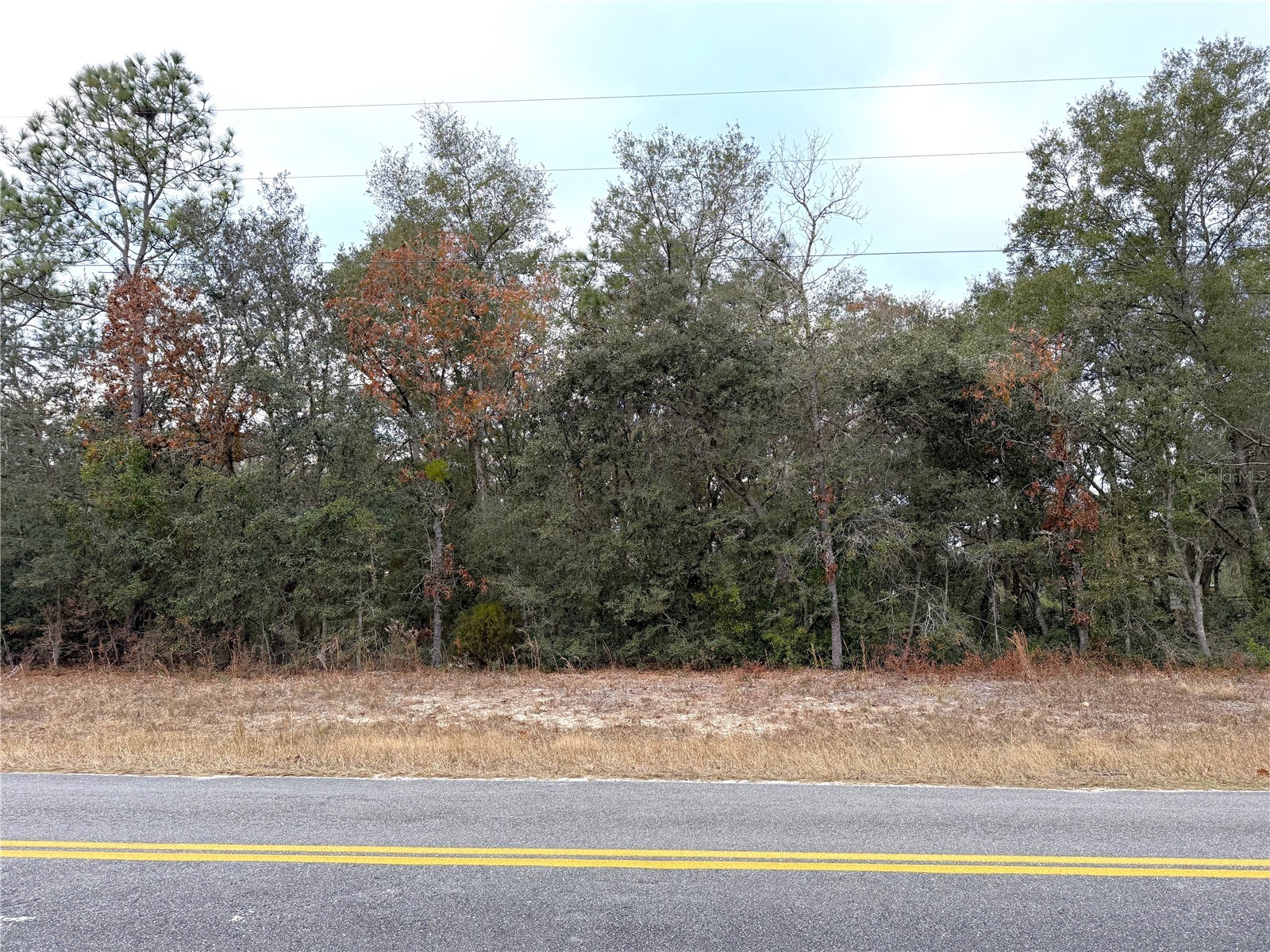 0 NE 137th Terrace Williston FL 32696 OM715041 image7