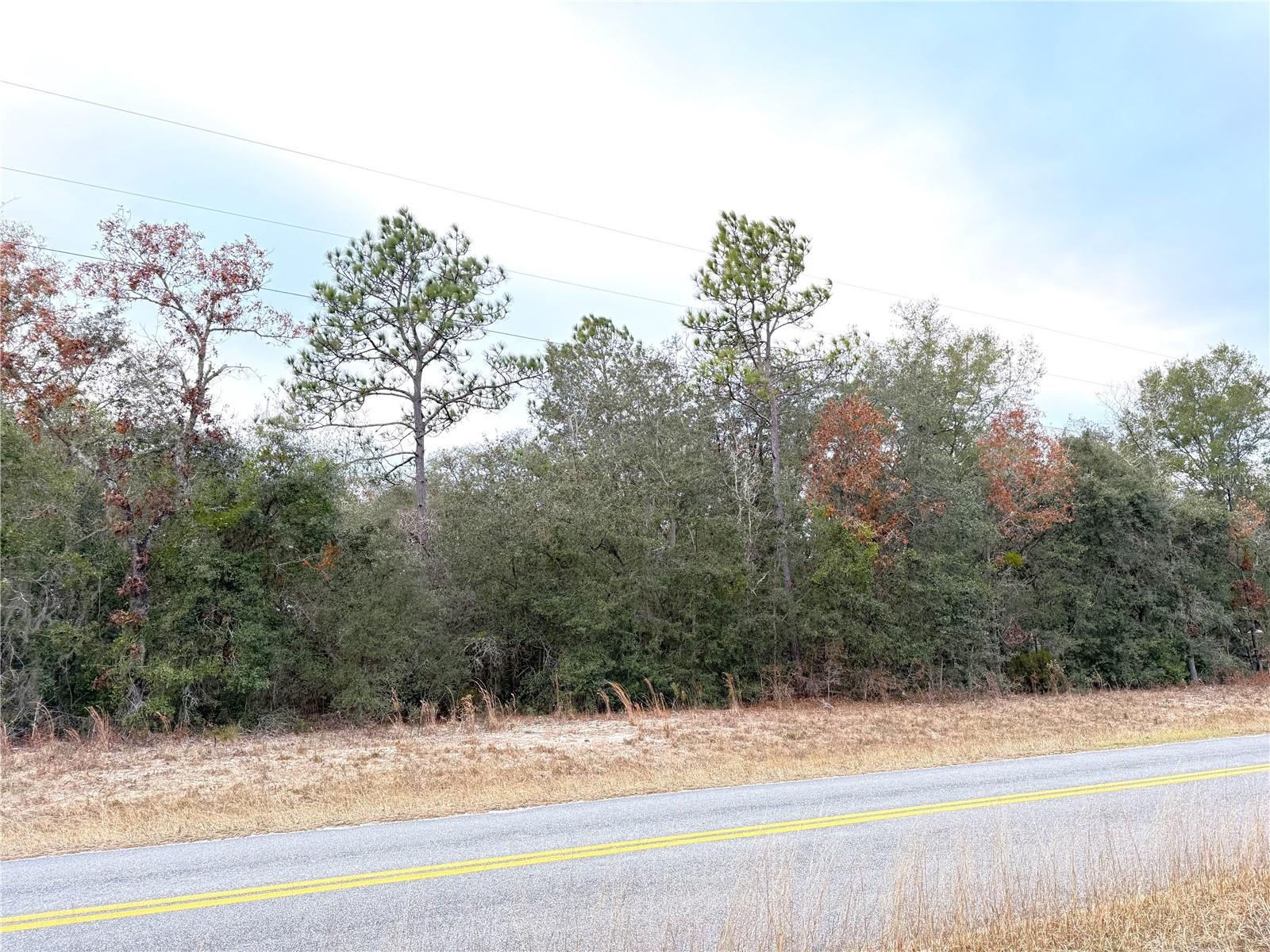 0 NE 137th Terrace Williston FL 32696 OM715041 image8