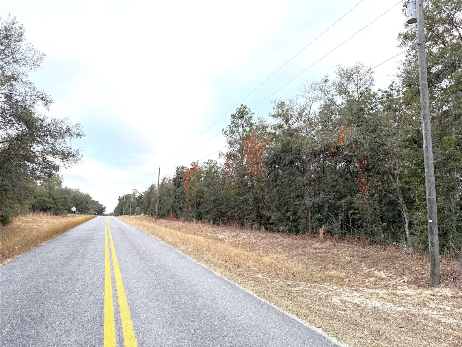 0 NE 137th Terrace Williston FL 32696 OM715041 image9
