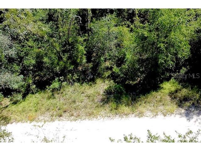 0 NE 138th Terrace Williston FL 32696 O6345720 image1