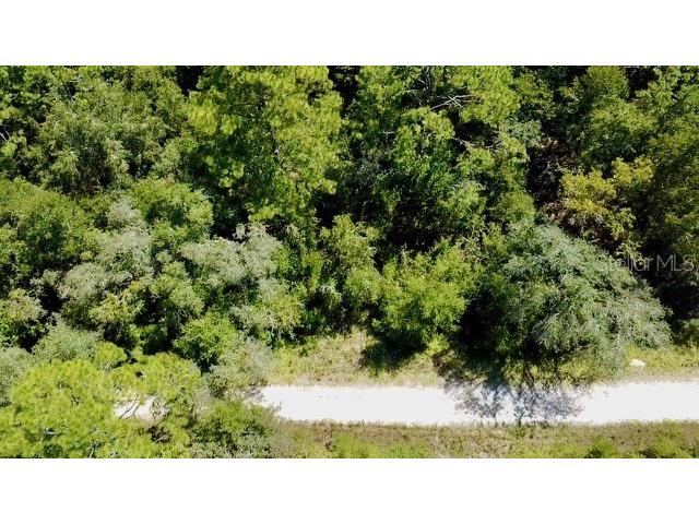 0 NE 138th Terrace Williston FL 32696 O6345720 image2