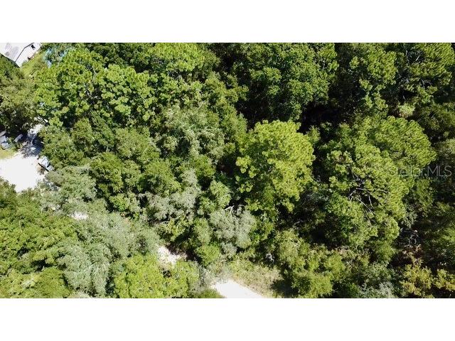 0 NE 138th Terrace Williston FL 32696 O6345720 image3