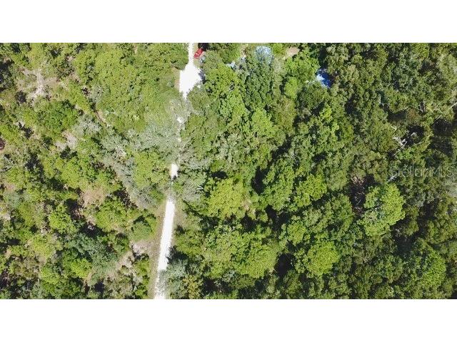 0 NE 138th Terrace Williston FL 32696 O6345720 image4