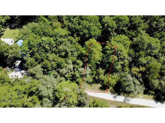 0 NE 138th Terrace Williston FL 32696 O6345720 image5