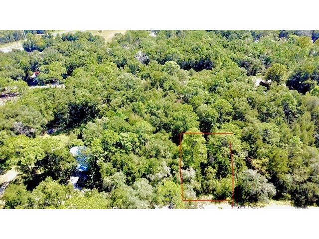 0 NE 138th Terrace Williston FL 32696 O6345720 image7