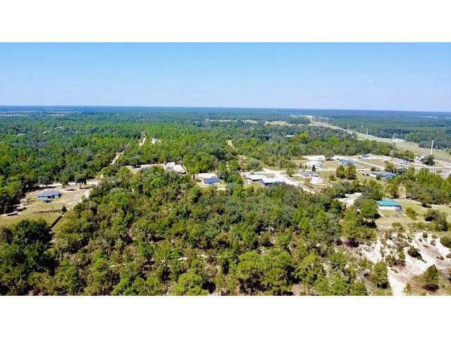 0 NE 138th Terrace Williston FL 32696 O6345720 image8