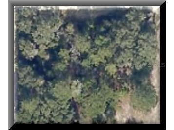 TBD NE 141st Court Fort Mc Coy FL 32134 OM689099 image1