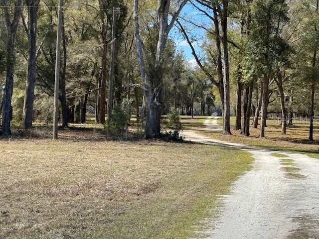 0 NE 141st Street Citra FL 32113 OM719864 image1
