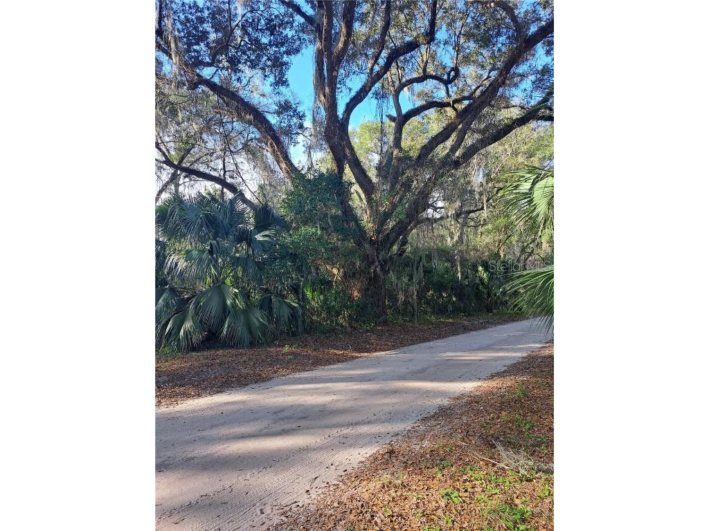 0 NE 142 Place Anthony FL 32617 OM671599 image1