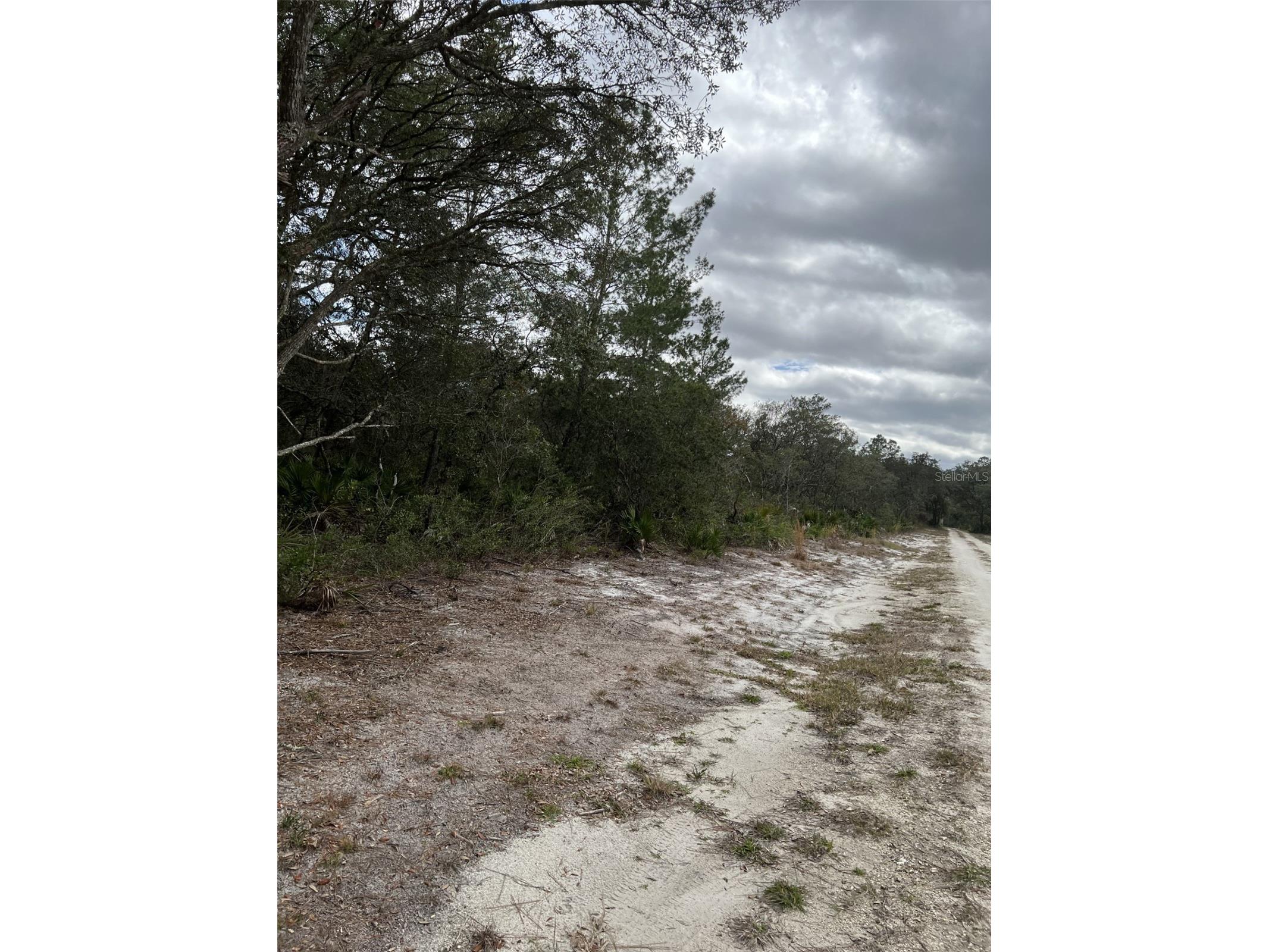 0 NE 144 Court Fort Mc Coy FL 32134 OM725200 image2