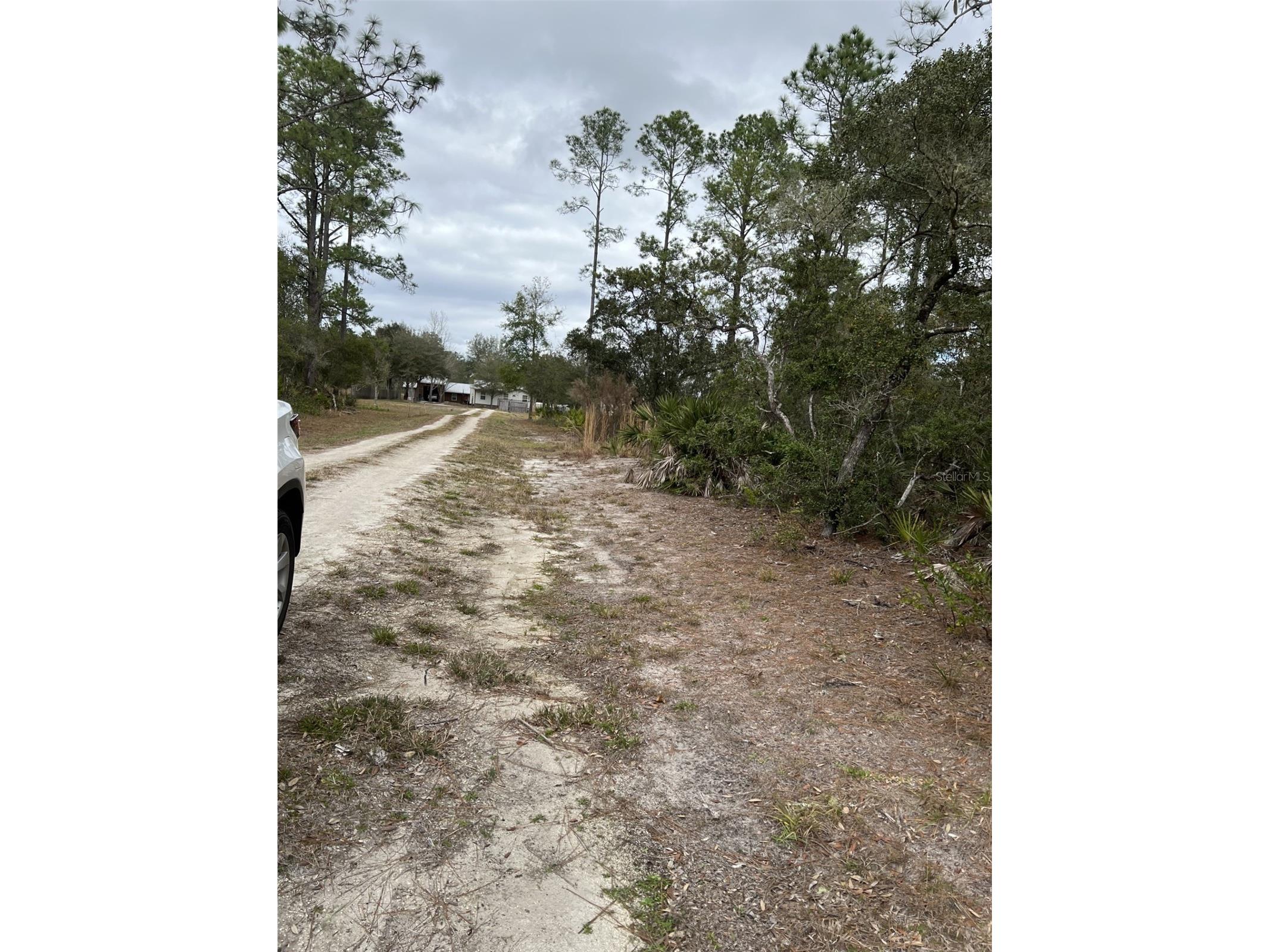 0 NE 144 Court Fort Mc Coy FL 32134 OM725200 image3