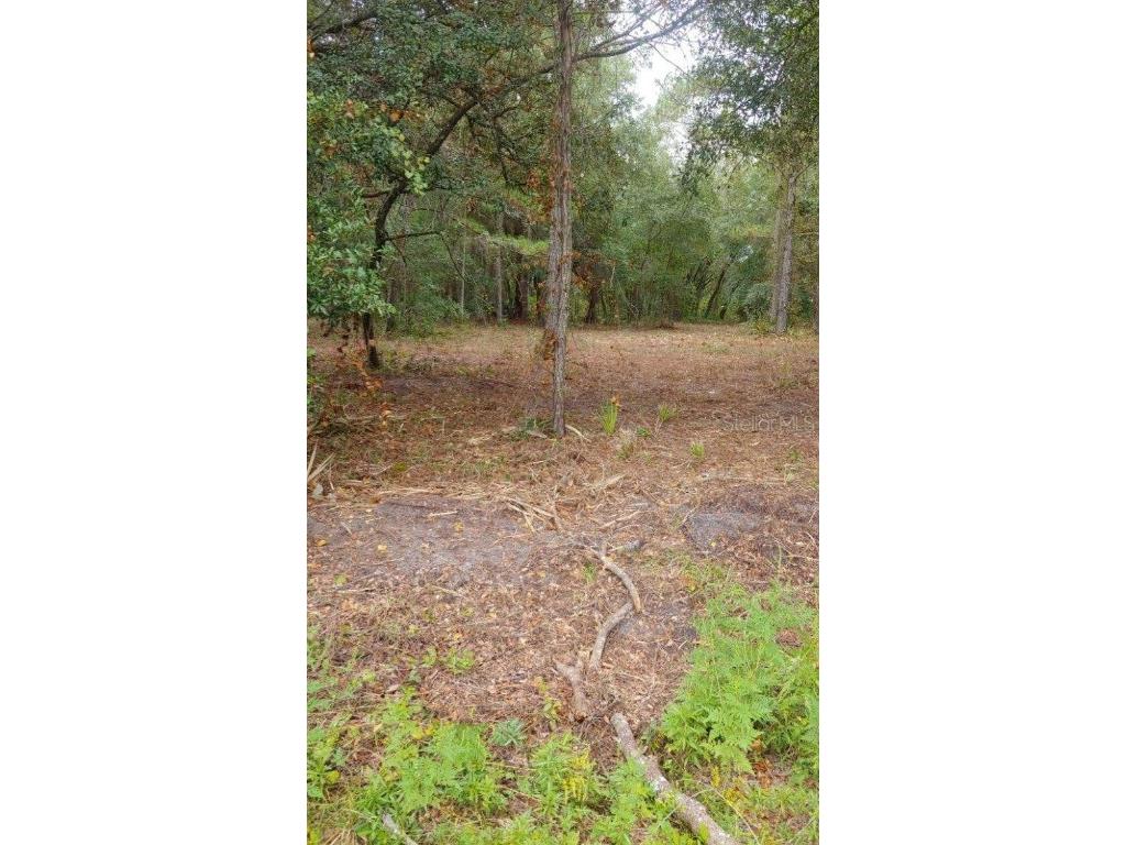 0 NE 148th Terrace Rd Fort Mc Coy FL 32134 OM710723 image1