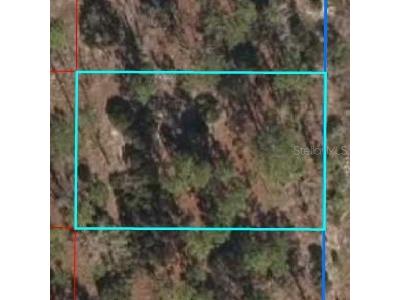 0 NE 150th Court Williston FL 32696 OM649738 image1