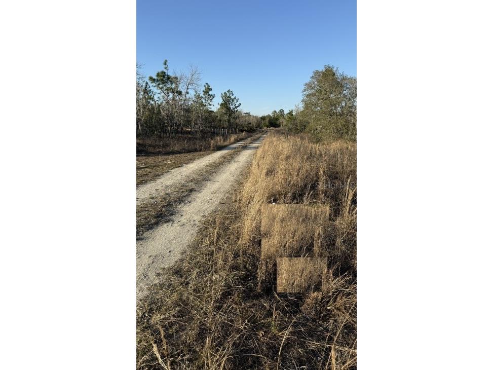 0 NE 151st Avenue Williston FL 32696 A4684375 image4