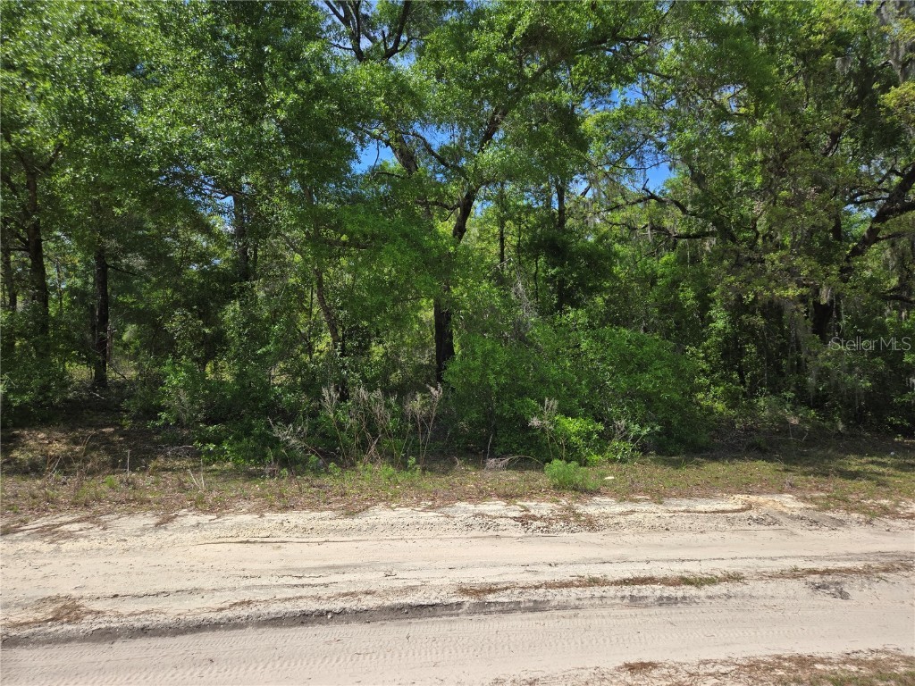 0 NE 155th Court Williston FL 32696 GC529689 image1