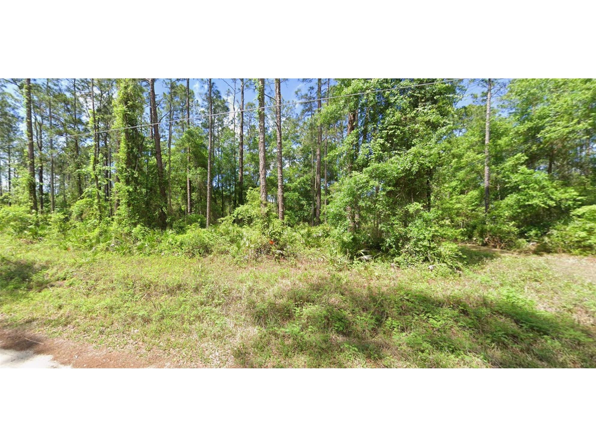 0 NE 156 Place Fort Mc Coy FL 32134 W7886048 image1