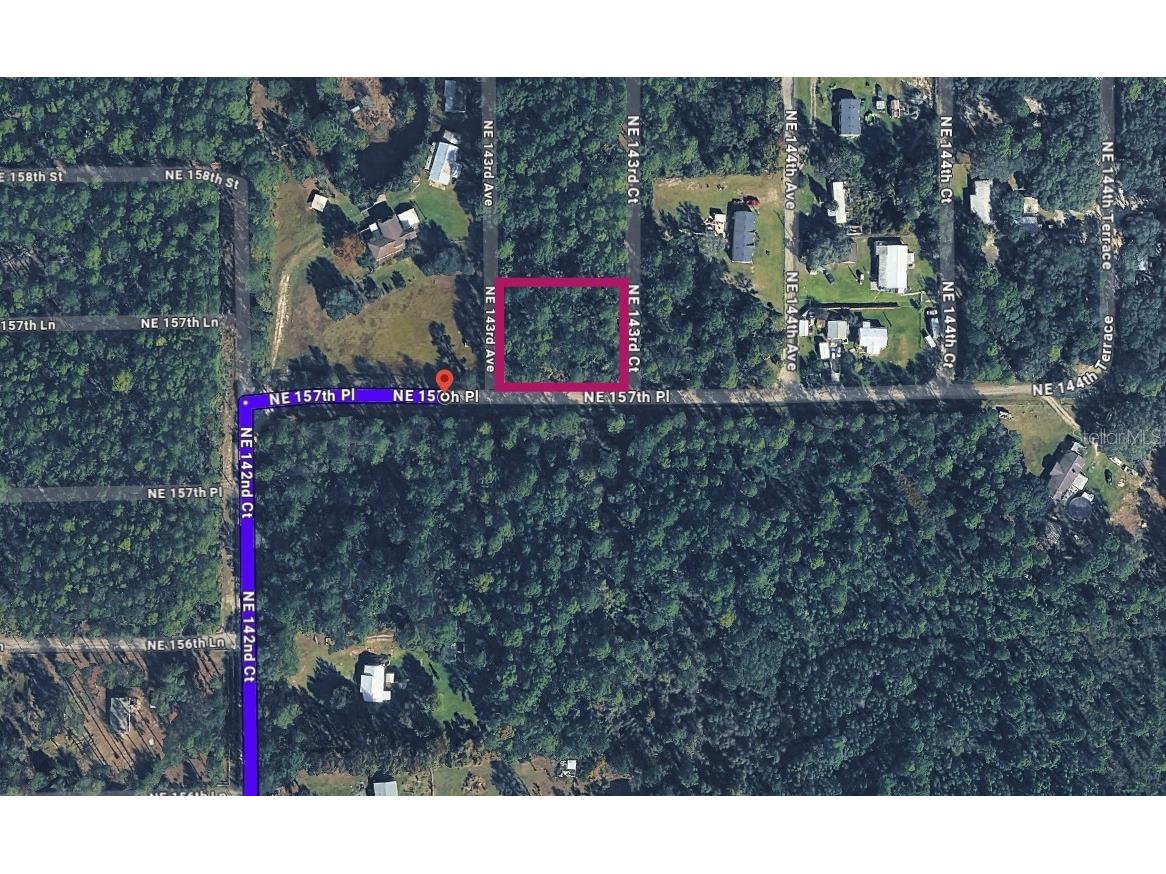 0 NE 157 Place Fort Mc Coy FL 32134 OM724979 image1